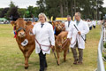 Malton Show 2024